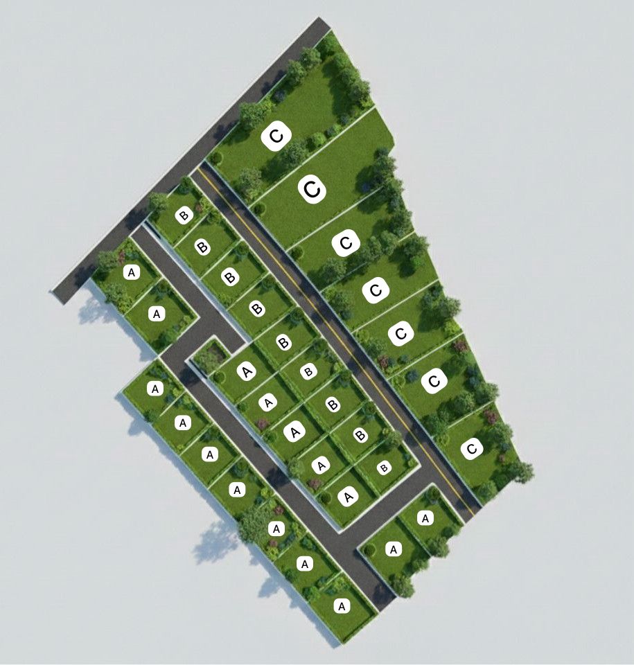 Masterplan Rivera de Palmarito